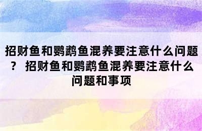 招财鱼和鹦鹉鱼混养要注意什么问题？ 招财鱼和鹦鹉鱼混养要注意什么问题和事项